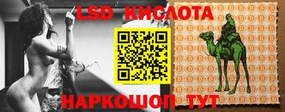PSILOCYBIN Партизанск