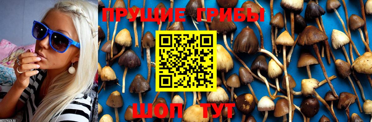 Псилоцибиновые грибы Magic Shrooms Топки
